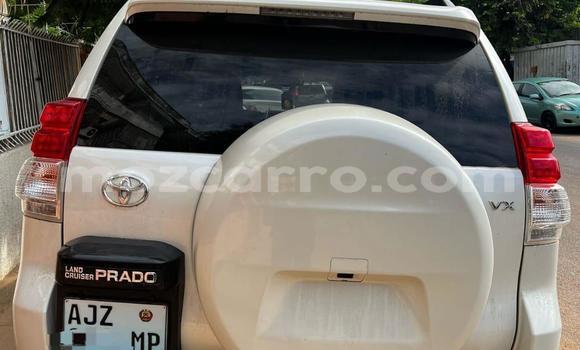 Tenga Tsaru Toyota Land Cruiser Prado Chena Mota in Maputo in Maputo Tenga Tsaru Toyota Land Cruiser Prado Chena Mota in Maputo in Maputo