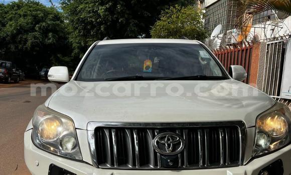 Tenga Tsaru Toyota Land Cruiser Prado Chena Mota in Maputo in Maputo Tenga Tsaru Toyota Land Cruiser Prado Chena Mota in Maputo in Maputo