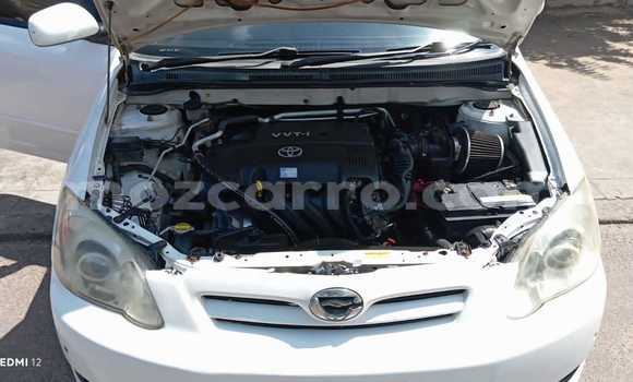 Nunua Ilio tumika Toyota Runx Nyeupe Gari ndani ya Maputo nchini Maputo Nunua Ilio tumika Toyota Runx Nyeupe Gari ndani ya Maputo nchini Maputo