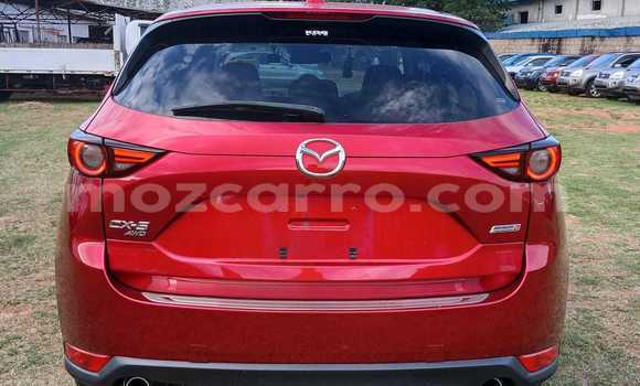 Buy New Mazda CX-5 Red Car in Maputo in Maputo Buy New Mazda CX-5 Red Car in Maputo in Maputo