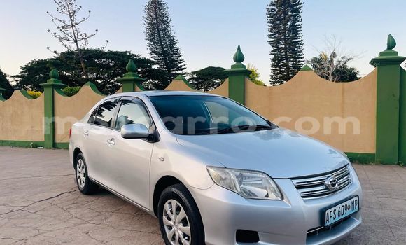 Buy Used Toyota Axio Other Car in Maputo in Maputo
