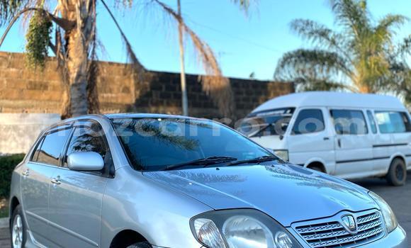 Comprar Usado Toyota Runx Prata Carro em Maputo em Maputo