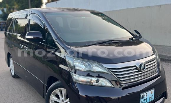 Tenga Tsaru Toyota Vellfire Bhurawuni Mota in Maputo in Maputo Tenga Tsaru Toyota Vellfire Bhurawuni Mota in Maputo in Maputo