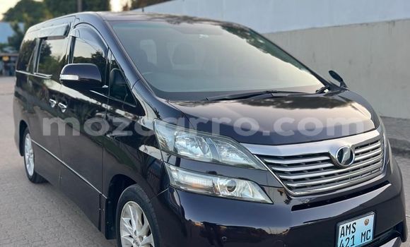 Tenga Tsaru Toyota Vellfire Bhurawuni Mota in Maputo in Maputo Tenga Tsaru Toyota Vellfire Bhurawuni Mota in Maputo in Maputo