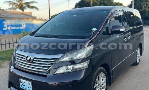 Tenga Tsaru Toyota Vellfire Bhurawuni Mota in Maputo in Maputo Tenga Tsaru Toyota Vellfire Bhurawuni Mota in Maputo in Maputo