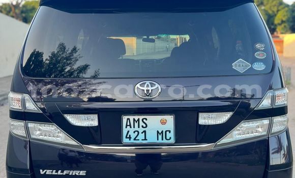 Tenga Tsaru Toyota Vellfire Bhurawuni Mota in Maputo in Maputo Tenga Tsaru Toyota Vellfire Bhurawuni Mota in Maputo in Maputo