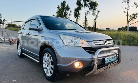 Buy Used Honda CR-V Other Car in Maputo in Maputo Buy Used Honda CR-V Other Car in Maputo in Maputo