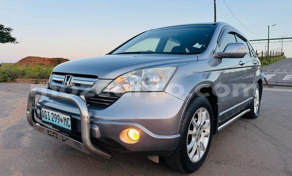 Buy Used Honda CR-V Other Car in Maputo in Maputo Buy Used Honda CR-V Other Car in Maputo in Maputo