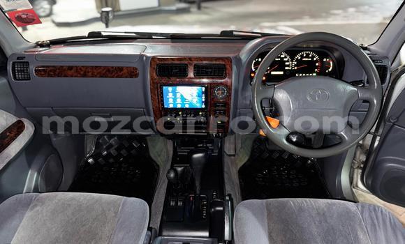 Tenga Tsaru Toyota Land Cruiser Prado Sirivha Mota in Maputo in Maputo Tenga Tsaru Toyota Land Cruiser Prado Sirivha Mota in Maputo in Maputo