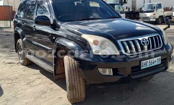 Tenga Tsaru Toyota Land Cruiser Prado Nhema Mota in Maputo in Maputo Tenga Tsaru Toyota Land Cruiser Prado Nhema Mota in Maputo in Maputo