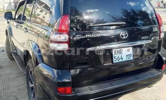 Tenga Tsaru Toyota Land Cruiser Prado Nhema Mota in Maputo in Maputo Tenga Tsaru Toyota Land Cruiser Prado Nhema Mota in Maputo in Maputo