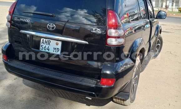 Tenga Tsaru Toyota Land Cruiser Prado Nhema Mota in Maputo in Maputo Tenga Tsaru Toyota Land Cruiser Prado Nhema Mota in Maputo in Maputo
