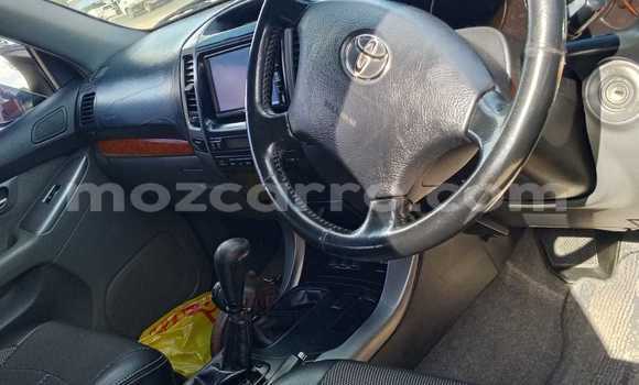 Tenga Tsaru Toyota Land Cruiser Prado Nhema Mota in Maputo in Maputo Tenga Tsaru Toyota Land Cruiser Prado Nhema Mota in Maputo in Maputo