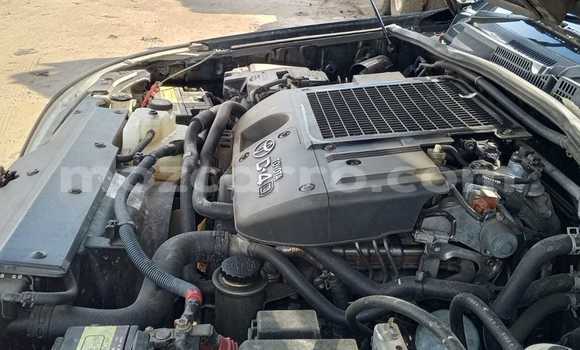 Tenga Tsaru Toyota Land Cruiser Prado Nhema Mota in Maputo in Maputo Tenga Tsaru Toyota Land Cruiser Prado Nhema Mota in Maputo in Maputo