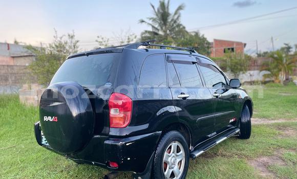 Tenga Tsaru Toyota RAV4 Nhema Mota in Maputo in Maputo Tenga Tsaru Toyota RAV4 Nhema Mota in Maputo in Maputo