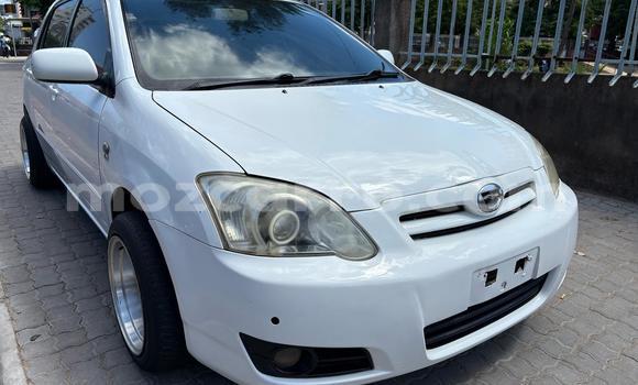 Comprar Usado Toyota Runx Branco Carro em Maputo em Maputo