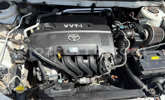 Tenga Tsaru Toyota Runx Chena Mota in Maputo in Maputo Tenga Tsaru Toyota Runx Chena Mota in Maputo in Maputo