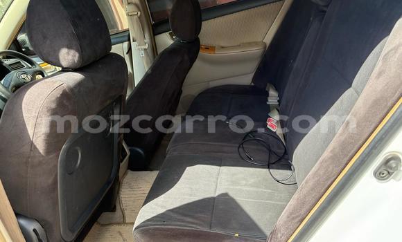 Tenga Tsaru Toyota Runx Chena Mota in Maputo in Maputo Tenga Tsaru Toyota Runx Chena Mota in Maputo in Maputo