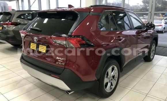 Buy Used Toyota RAV4 Other Car in Maputo in Maputo Buy Used Toyota RAV4 Other Car in Maputo in Maputo