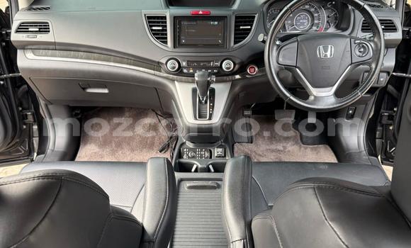 Comprar Novo Honda CR-V Preto Carro em Maputo em Maputo Comprar Novo Honda CR-V Preto Carro em Maputo em Maputo