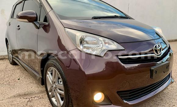 Comprar Novo Toyota Ractis Castanho Carro em Maputo em Maputo