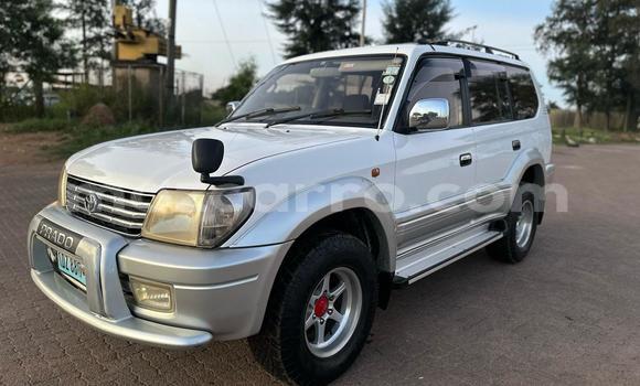 Buy Used Toyota Land Cruiser Prado White Car in Maputo in Maputo Buy Used Toyota Land Cruiser Prado White Car in Maputo in Maputo