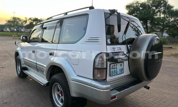 Buy Used Toyota Land Cruiser Prado White Car in Maputo in Maputo Buy Used Toyota Land Cruiser Prado White Car in Maputo in Maputo