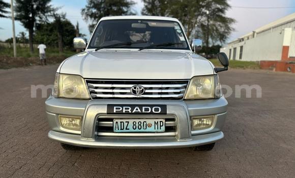 Buy Used Toyota Land Cruiser Prado White Car in Maputo in Maputo Buy Used Toyota Land Cruiser Prado White Car in Maputo in Maputo