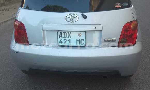 Tenga Tsaru Toyota IST Sirivha Mota in Maputo in Maputo Tenga Tsaru Toyota IST Sirivha Mota in Maputo in Maputo