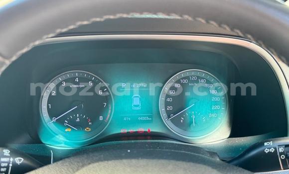 Tenga Tsaru Hyundai Tucson Beige Mota in Maputo in Maputo Tenga Tsaru Hyundai Tucson Beige Mota in Maputo in Maputo