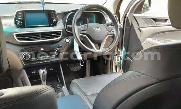 Tenga Tsaru Hyundai Tucson Beige Mota in Maputo in Maputo Tenga Tsaru Hyundai Tucson Beige Mota in Maputo in Maputo