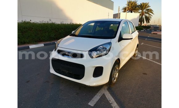 Comprar Importar Kia Picanto Branco Carro em Import - Dubai em Cabo Delgado Comprar Importar Kia Picanto Branco Carro em Import - Dubai em Cabo Delgado