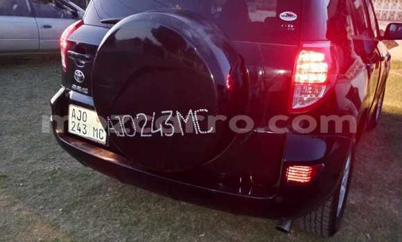 Tenga Tsaru Toyota RAV4 Nhema Mota in Maputo in Maputo Tenga Tsaru Toyota RAV4 Nhema Mota in Maputo in Maputo