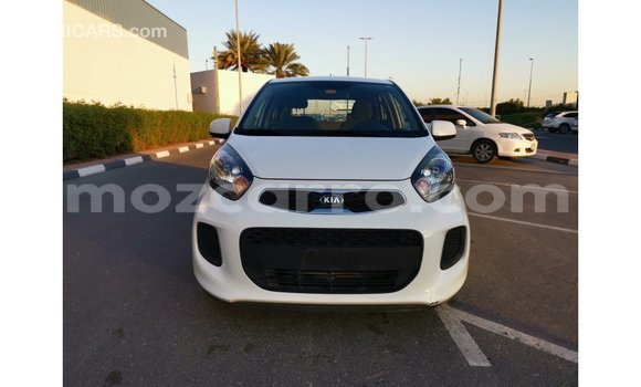 Comprar Importar Kia Picanto Branco Carro em Import - Dubai em Cabo Delgado Comprar Importar Kia Picanto Branco Carro em Import - Dubai em Cabo Delgado