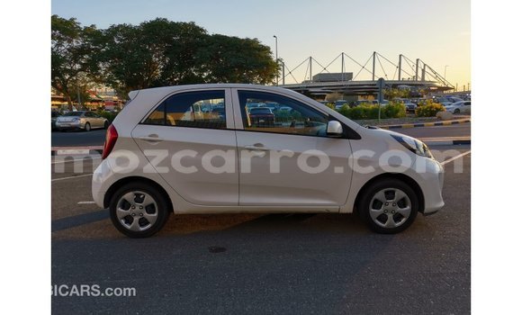 Comprar Importar Kia Picanto Branco Carro em Import - Dubai em Cabo Delgado Comprar Importar Kia Picanto Branco Carro em Import - Dubai em Cabo Delgado