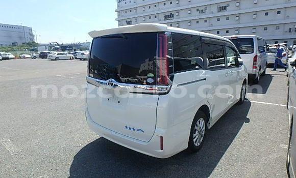 Tenga Tsaru Toyota Alphard Chena Mota in Maputo in Maputo Tenga Tsaru Toyota Alphard Chena Mota in Maputo in Maputo