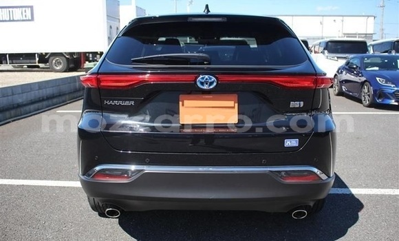 Tenga Tsaru Toyota Harrier Nhema Mota in Maputo in Maputo Tenga Tsaru Toyota Harrier Nhema Mota in Maputo in Maputo