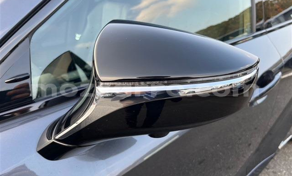 Tenga Tsaru Lexus IS Sirivha Mota in Maputo in Maputo Tenga Tsaru Lexus IS Sirivha Mota in Maputo in Maputo