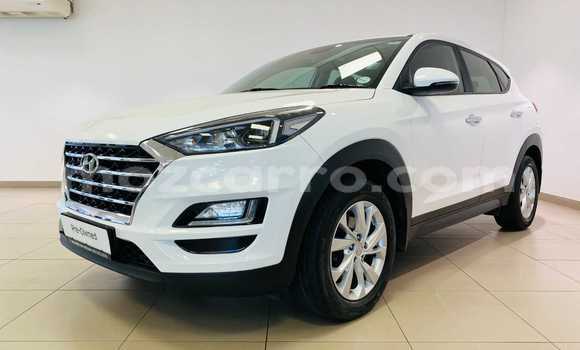 Buy Used Hyundai Tucson White Car in Maputo in Maputo Buy Used Hyundai Tucson White Car in Maputo in Maputo