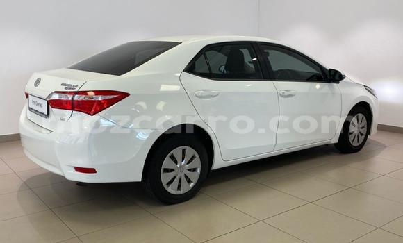 Tenga Tsaru Toyota Corolla Chena Mota in Maputo in Maputo Tenga Tsaru Toyota Corolla Chena Mota in Maputo in Maputo