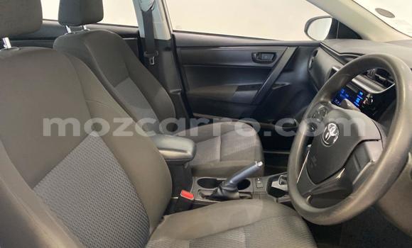 Tenga Tsaru Toyota Corolla Chena Mota in Maputo in Maputo Tenga Tsaru Toyota Corolla Chena Mota in Maputo in Maputo