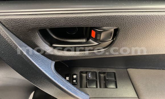 Tenga Tsaru Toyota Corolla Chena Mota in Maputo in Maputo Tenga Tsaru Toyota Corolla Chena Mota in Maputo in Maputo