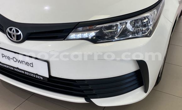 Tenga Tsaru Toyota Corolla Chena Mota in Maputo in Maputo Tenga Tsaru Toyota Corolla Chena Mota in Maputo in Maputo