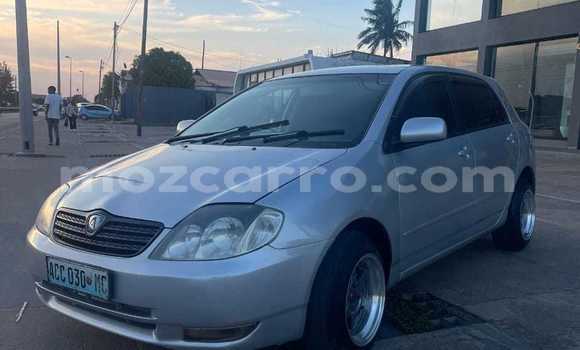 Comprar Usado Toyota Runx Prata Carro em Maputo em Maputo Comprar Usado Toyota Runx Prata Carro em Maputo em Maputo