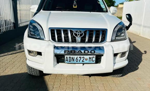 Buy Used Toyota Land Cruiser Prado White Car in Maputo in Maputo