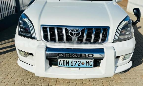 Tenga Tsaru Toyota Land Cruiser Prado Chena Mota in Maputo in Maputo Tenga Tsaru Toyota Land Cruiser Prado Chena Mota in Maputo in Maputo