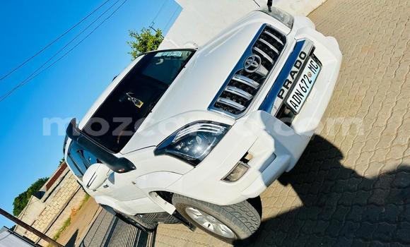 Tenga Tsaru Toyota Land Cruiser Prado Chena Mota in Maputo in Maputo Tenga Tsaru Toyota Land Cruiser Prado Chena Mota in Maputo in Maputo