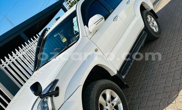 Tenga Tsaru Toyota Land Cruiser Prado Chena Mota in Maputo in Maputo Tenga Tsaru Toyota Land Cruiser Prado Chena Mota in Maputo in Maputo