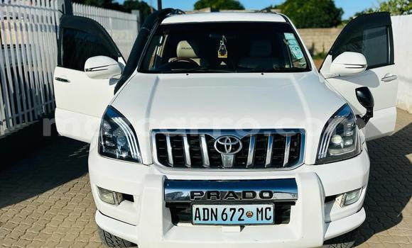 Tenga Tsaru Toyota Land Cruiser Prado Chena Mota in Maputo in Maputo Tenga Tsaru Toyota Land Cruiser Prado Chena Mota in Maputo in Maputo
