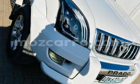 Tenga Tsaru Toyota Land Cruiser Prado Chena Mota in Maputo in Maputo Tenga Tsaru Toyota Land Cruiser Prado Chena Mota in Maputo in Maputo